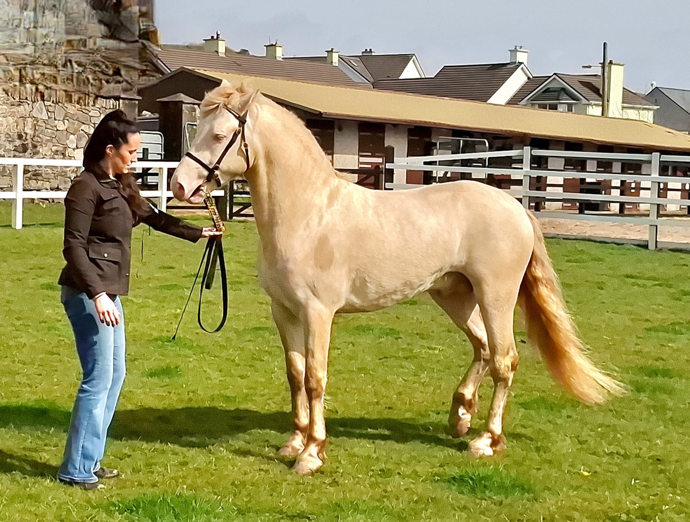 Annaghbay Ted